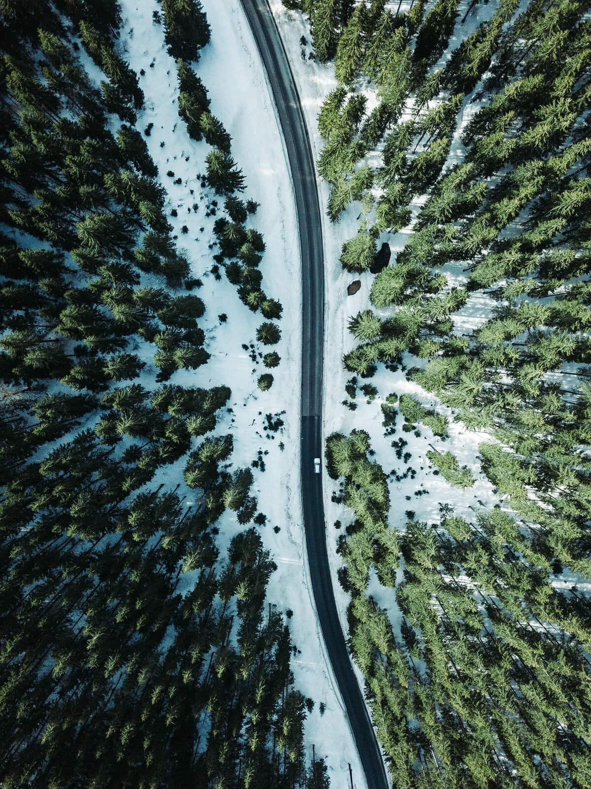 Aerial view of snowy forest and winding road.